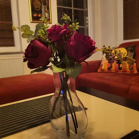 Saraj Collection Aircondition