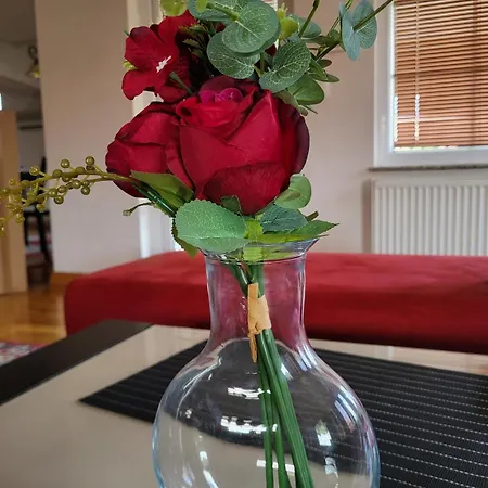 Saraj Collection Aircondition